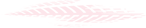 Section Decoration